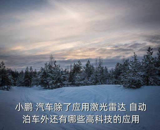  小鵬 汽車除了應(yīng)用激光雷達(dá) 自動(dòng) 泊車外還有哪些高科技的應(yīng)用