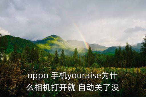 oopo手機相機會自動退出,手機出現(xiàn)病例怎么辦?