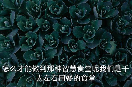 自動化快餐廳,快餐的作用:1準(zhǔn)備飯菜結(jié)賬等都可以