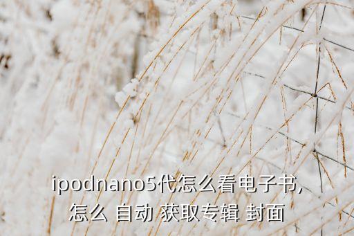 ipodnano5代怎么看電子書,怎么 自動 獲取專輯 封面
