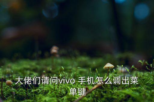 手機(jī)自動菜單鍵,手機(jī)設(shè)置-導(dǎo)航鍵開啟或關(guān)閉多任務(wù)鍵