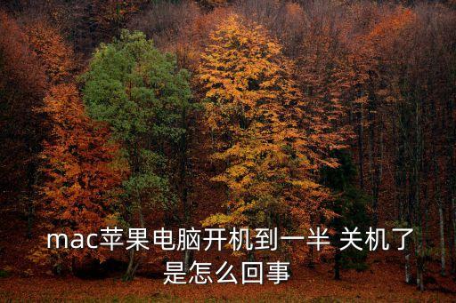 mac一直自動(dòng)關(guān)機(jī),電腦可能會(huì)反復(fù)重啟或自動(dòng)關(guān)閉