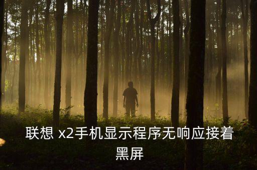  聯(lián)想 x2手機(jī)顯示程序無(wú)響應(yīng)接著 黑屏