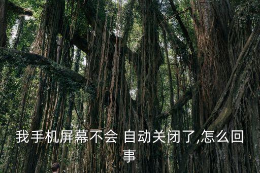 我手機(jī)屏幕不會(huì) 自動(dòng)關(guān)閉了,怎么回事