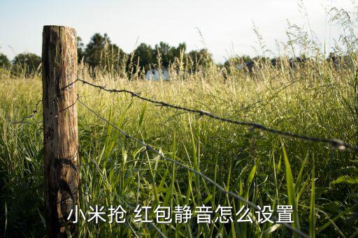  小米搶 紅包靜音怎么設(shè)置