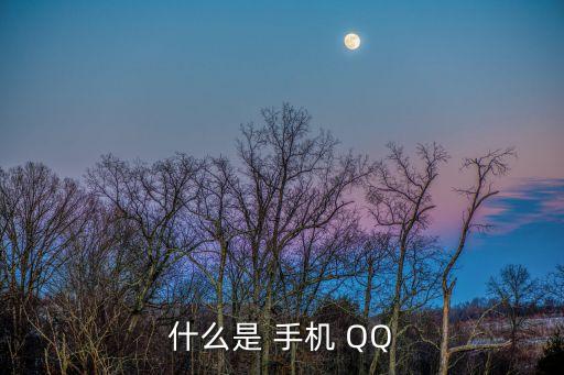 什么是 手機(jī) QQ