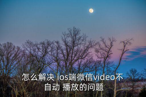 怎么解決 ios端微信video不 自動(dòng) 播放的問(wèn)題