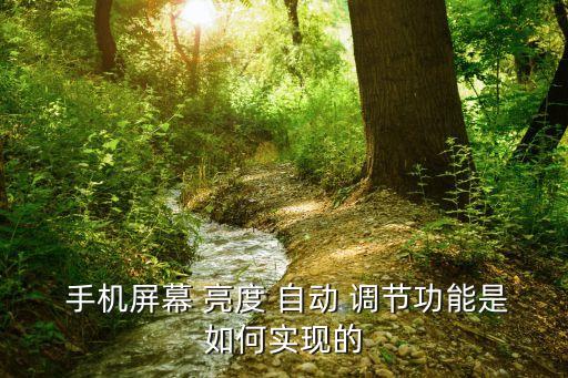 手機(jī)自動亮度調(diào)節(jié)原理,智能手機(jī)亮度調(diào)節(jié)功能出現(xiàn)以下兩種情況