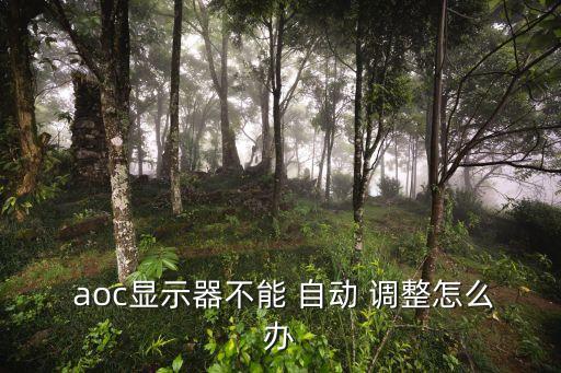  aoc顯示器不能 自動 調(diào)整怎么辦