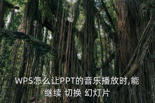 幻燈片 兩首歌 如何自動(dòng)切換,首次使用時(shí)間幻燈片播放