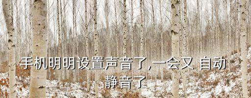 音頻自動靜音,三星手機怎么靜音?