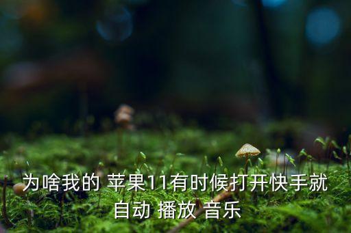 為啥我的 蘋果11有時(shí)候打開快手就 自動 播放 音樂