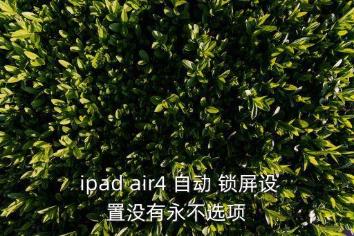 ipad air突然自動(dòng)鎖屏,如何使用電池和手機(jī)充電?