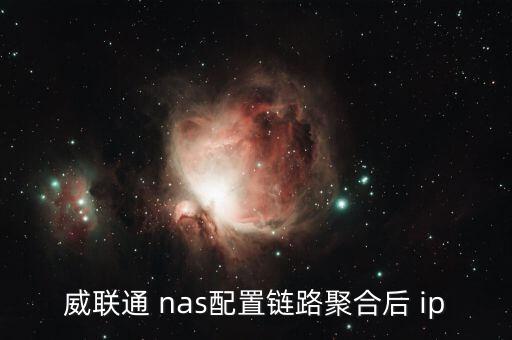 nas如何自動更新ip,如何連接路由器和端口聚合?