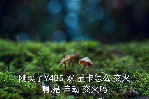 雙顯卡交火自動(dòng),硬件管理器可同時(shí)看到兩個(gè)獨(dú)立顯卡