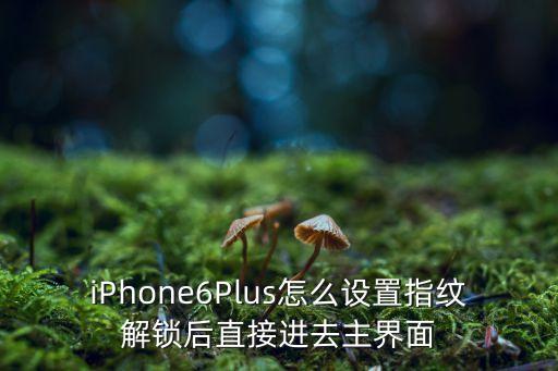 蘋果怎么自動(dòng)進(jìn)入屏幕,如何進(jìn)行faceid和密碼切換操作?