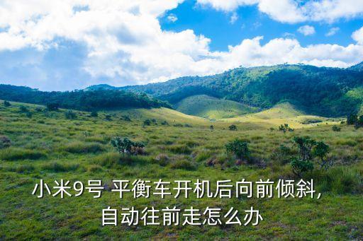平衡車 自動(dòng)駕駛,自平衡電動(dòng)車怎么開?看這里!