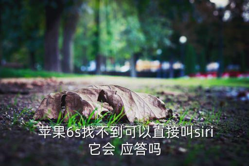 蘋果自動應答,手機應用商店推出新功能設置語音提醒和應答