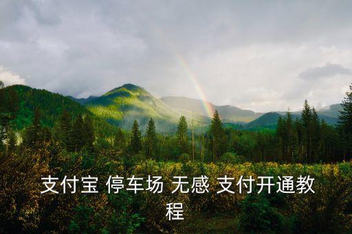  支付寶 停車場 無感 支付開通教程