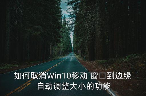如何取消Win10移動(dòng) 窗口到邊緣 自動(dòng)調(diào)整大小的功能