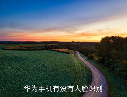 華為手機有沒有人臉識別