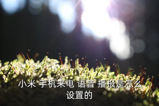 小米手機(jī)自動(dòng)語(yǔ)音播報(bào),小米10s語(yǔ)音播報(bào)策略改為隨時(shí)