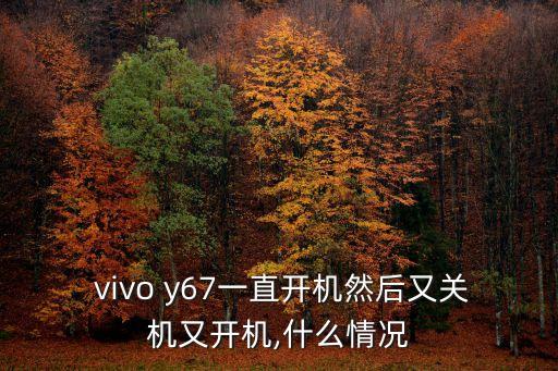vivo y67自動(dòng)重啟,手機(jī)丟失照片怎么辦?辦法自動(dòng)重啟