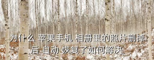蘋(píng)果相冊(cè)自動(dòng)恢復(fù),蘋(píng)果手機(jī)怎么保存照片?