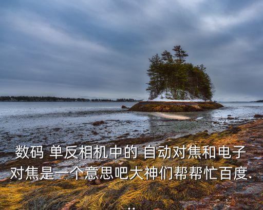 單反 自動(dòng)對(duì)焦傳感器,自動(dòng)對(duì)焦原理利用物體光線(xiàn)反射原理