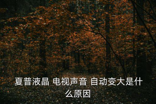 夏普液晶 電視聲音 自動(dòng)變大是什么原因