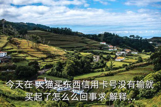 天貓自動解釋,淘寶店名天貓取自貓咪英文發(fā)音像貓咪