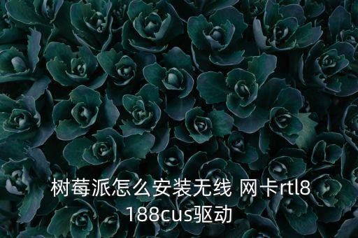 樹莓派3 網(wǎng)卡自動,安裝無線網(wǎng)卡需要注意什么?
