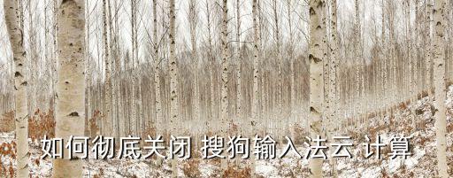 如何徹底關(guān)閉 搜狗輸入法云 計(jì)算