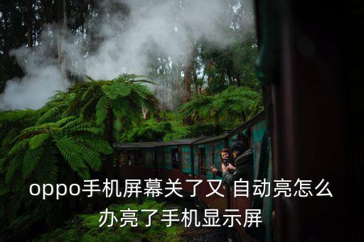 oppo手機(jī)屏幕關(guān)了又 自動亮怎么辦亮了手機(jī)顯示屏