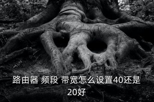 路由器 頻段 帶寬怎么設(shè)置40還是20好