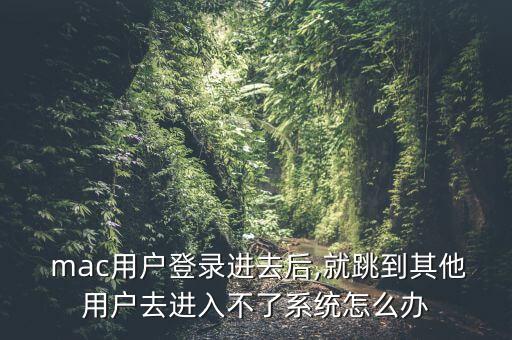  mac用戶登錄進去后,就跳到其他用戶去進入不了系統(tǒng)怎么辦