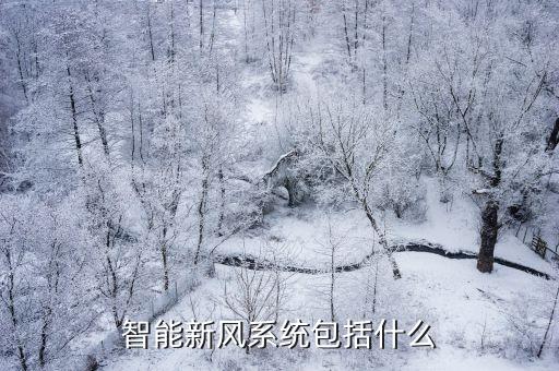 智能新風(fēng)系統(tǒng)包括什么