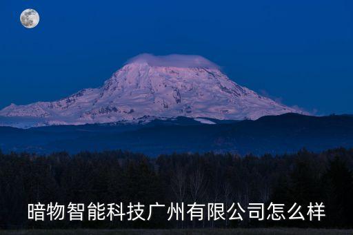 暗物智能科技廣州有限公司怎么樣