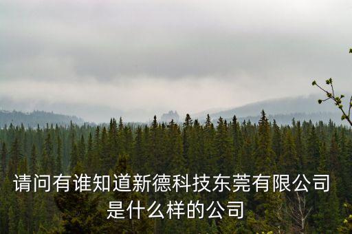 請(qǐng)問(wèn)有誰(shuí)知道新德科技東莞有限公司 是什么樣的公司