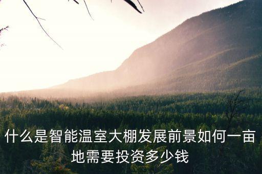 什么是智能溫室大棚發(fā)展前景如何一畝地需要投資多少錢
