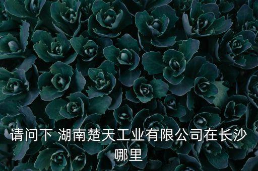 楚天科技智能工廠在哪里，杭州楚天科技怎么樣大型項(xiàng)目經(jīng)驗(yàn)多嗎