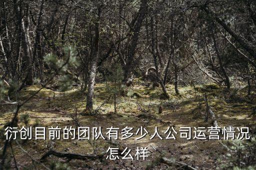 衍創(chuàng)智能科技是什么樣公司，衍創(chuàng)目前的團(tuán)隊(duì)有多少人公司運(yùn)營情況怎么樣