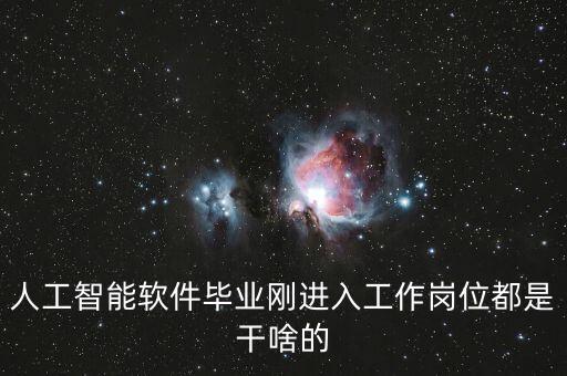 人工智能軟件畢業(yè)剛進入工作崗位都是干啥的