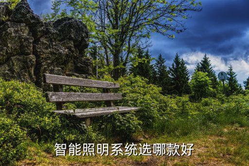 高科技智能系統(tǒng)燈具有哪些，智能照明系統(tǒng)選哪款好