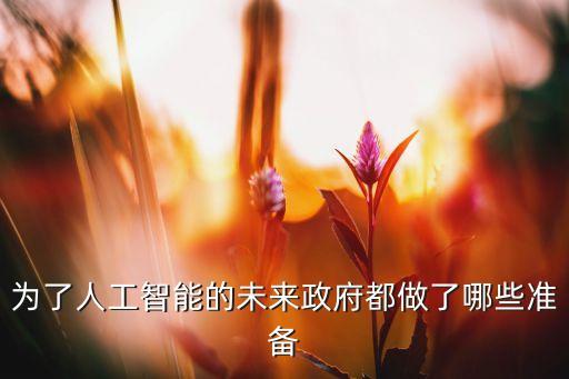 為了人工智能的未來政府都做了哪些準備