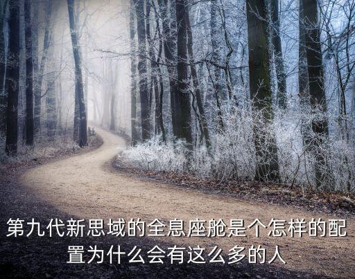 第九代新思域的全息座艙是個(gè)怎樣的配置為什么會(huì)有這么多的人
