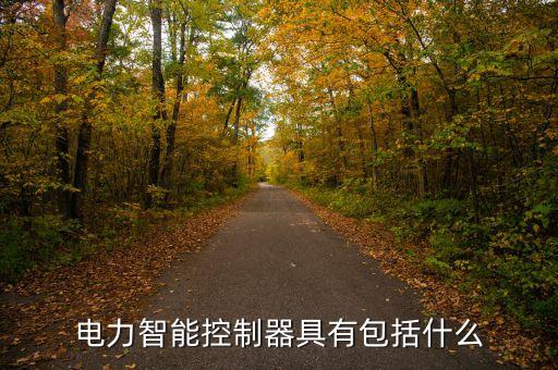 電力智能控制器具有包括什么