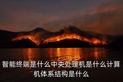 智能終端是什么中央處理機(jī)是什么計(jì)算機(jī)體系結(jié)構(gòu)是什么