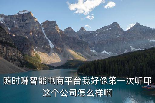 隨時賺智能電商平臺我好像第一次聽耶這個公司怎么樣啊