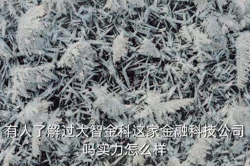 有人了解過(guò)大智金科這家金融科技公司嗎實(shí)力怎么樣